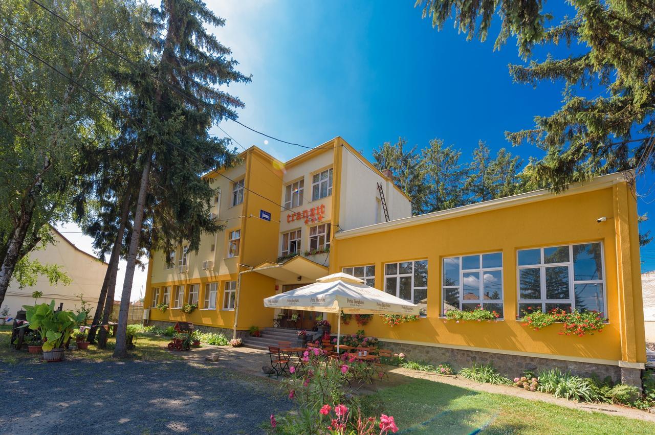 Pensiunea Tranzit Satu Mare Exterior foto