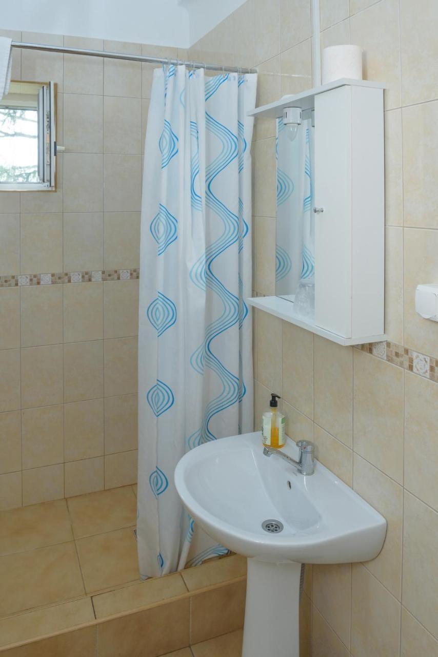 Pensiunea Tranzit Satu Mare Exterior foto